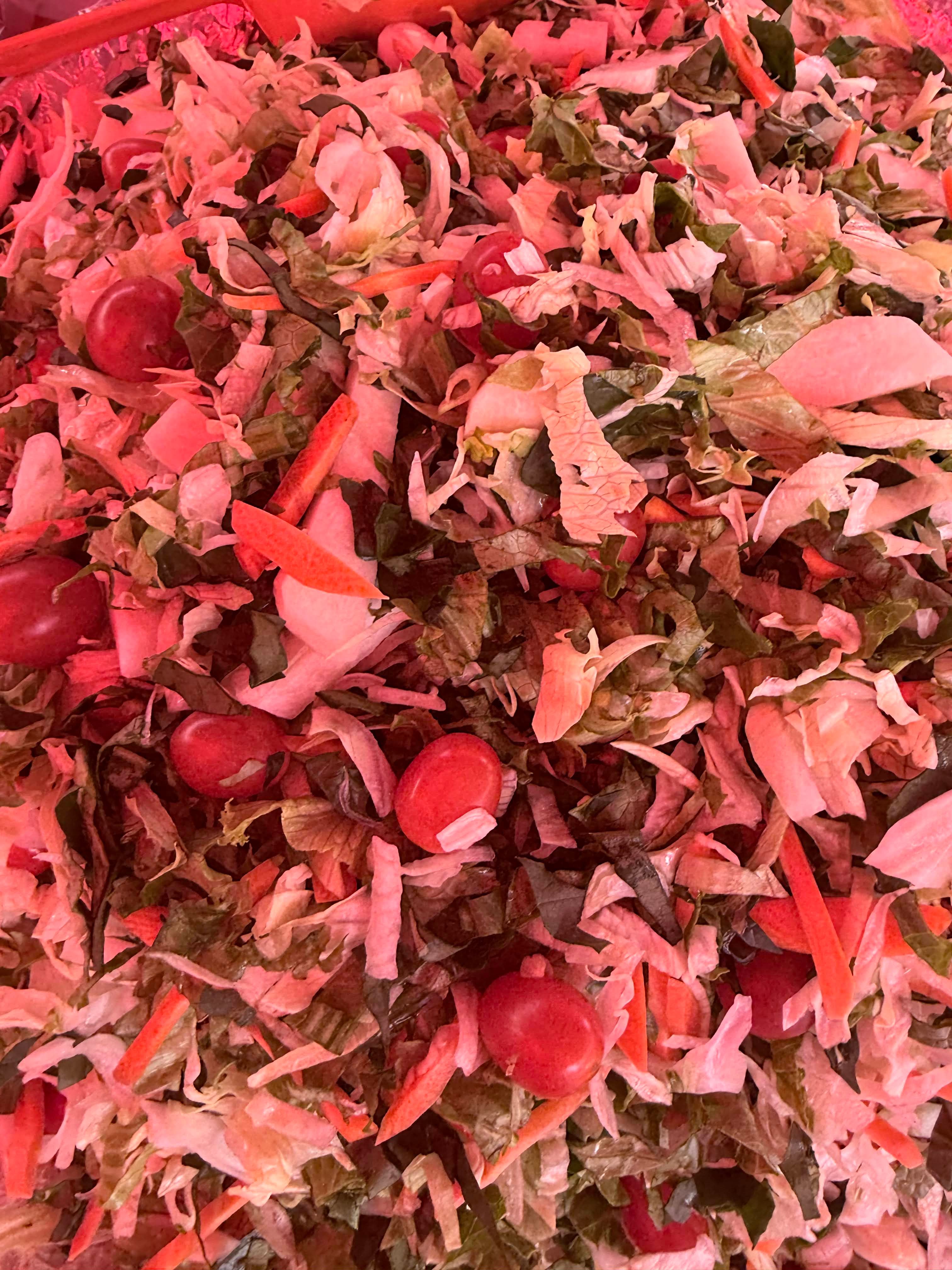 Ensaladas